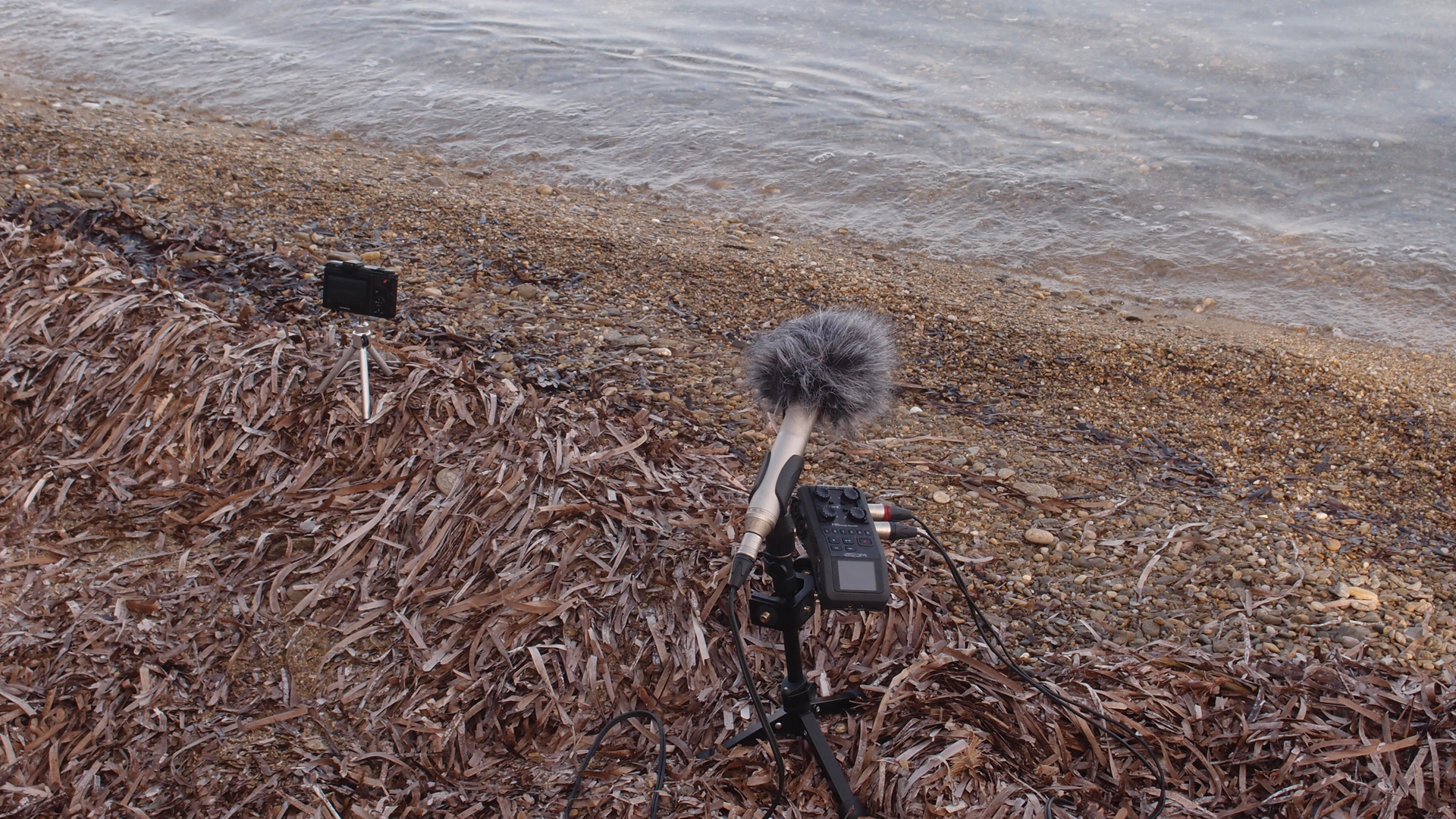 2021-09-18 01 am Hausstrand (Fieldrecording, Foto, Video)